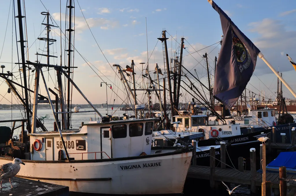 Lobster boats tied up at the Port of Galilee