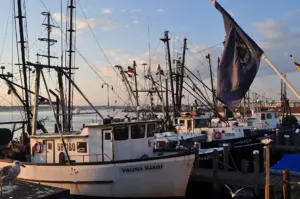 Lobster boats tied up at the Port of Galilee