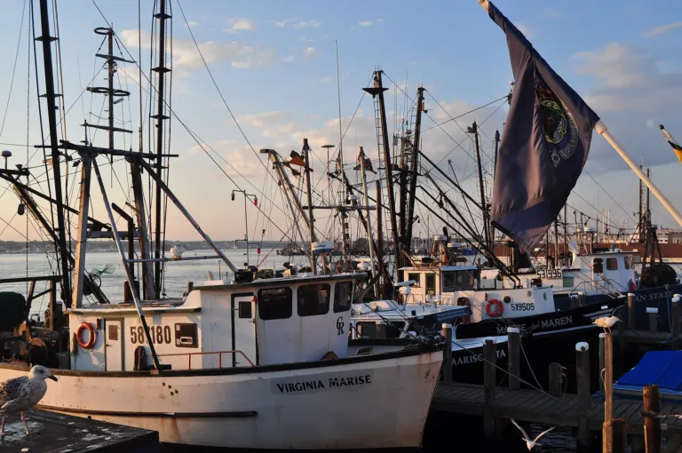 Lobster boats tied up at the Port of Galilee